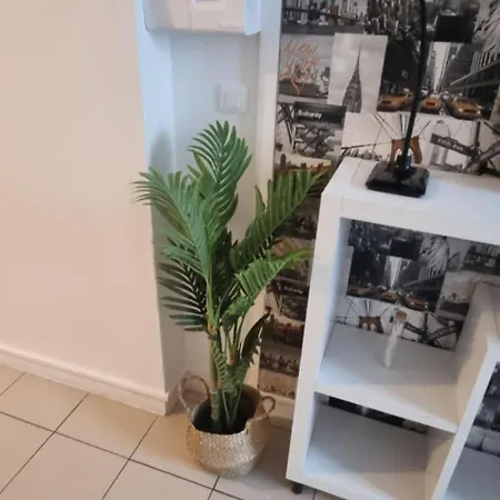 Grand Apartment